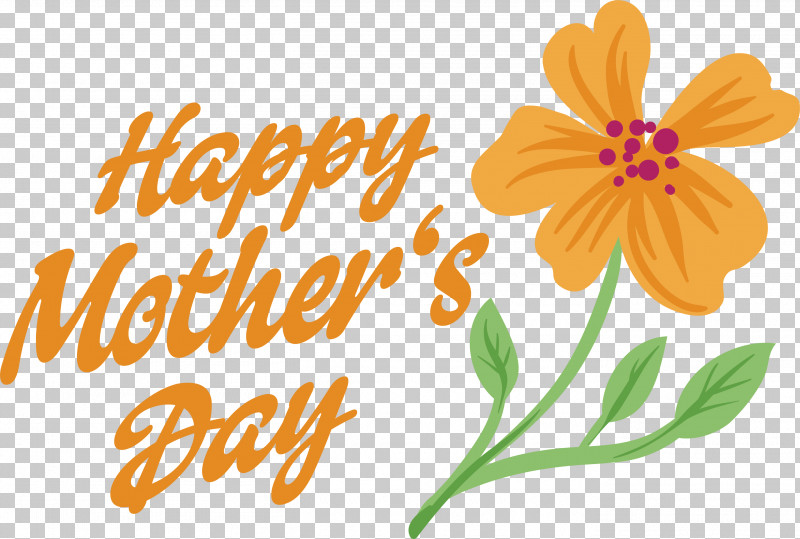 Floral Design PNG, Clipart, Cut Flowers, Floral Design, Flower, Mothers Day, Petal Free PNG Download