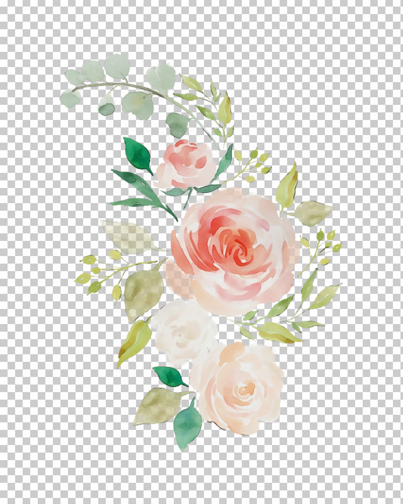 Garden Roses PNG, Clipart, Cut Flowers, Flower, Garden Roses, Paint, Pink Free PNG Download