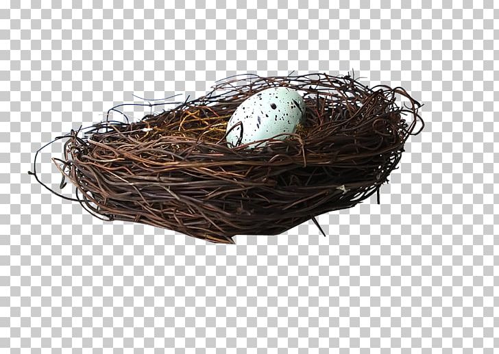 Bird Nest Egg PNG, Clipart, Adobe Illustrator, Animals, Beautiful, Beautiful Nest, Bird Free PNG Download
