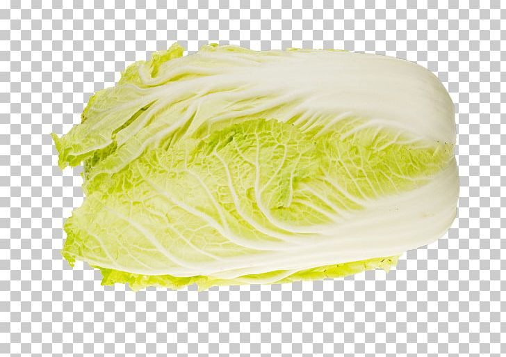 Romaine Lettuce Napa Cabbage Chinese Broccoli PNG, Clipart, 3d Animation, 3d Arrows, 3d Creative Fruit, Apple Fruit, Art Free PNG Download
