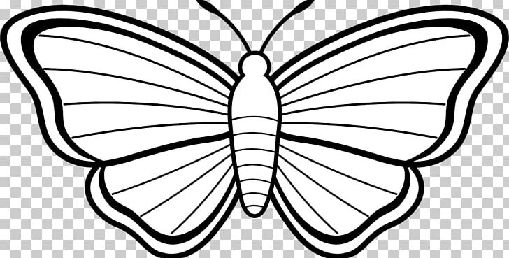 Coloring Book Butterfly Drawing PNG, Clipart, Artwork, Black And White, Brush Footed Butterfly, Cartoon, Child Free PNG Download