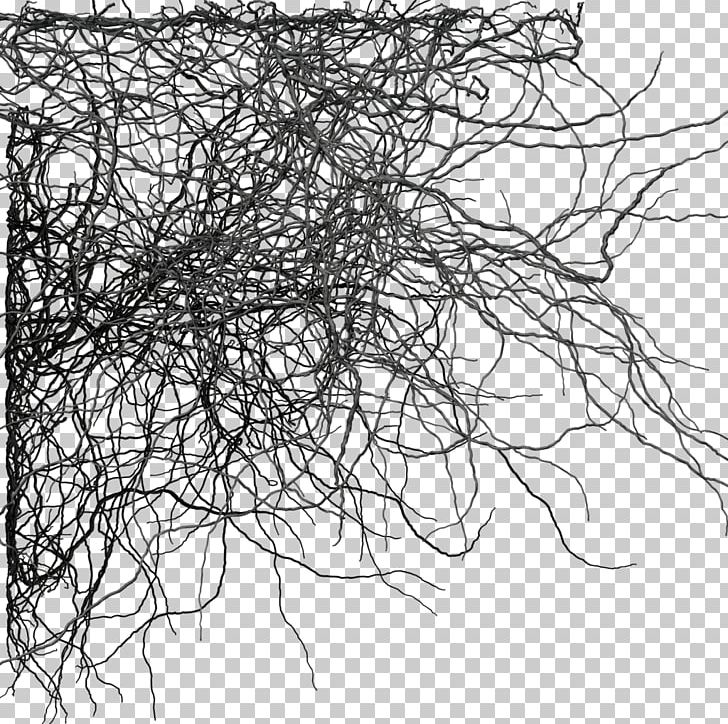 Branch Tree Desktop PNG, Clipart, Artwork, Black And White, Branch, Desktop Wallpaper, Deviantart Free PNG Download