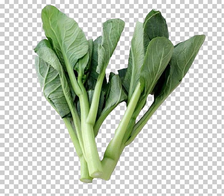 Choy Sum Chard Cabbage Cruciferous Vegetables PNG, Clipart, Cabbage Cartoon, Cabbage Leaves, Cartoon Cabbage, Cauliflower, Chinese Broccoli Free PNG Download