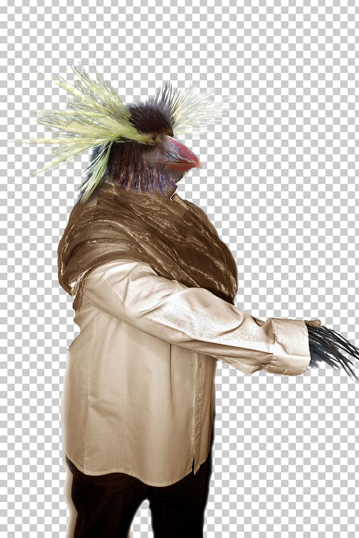 Costume Design Feather PNG, Clipart, Above, Animals, Blood, Blue Blood, Costume Free PNG Download