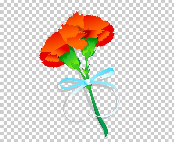 Carnation Poppy Flower Drawing PNG, Clipart, Annual Plant, Carnation, Cartoon, Cut Flowers, Download Free PNG Download