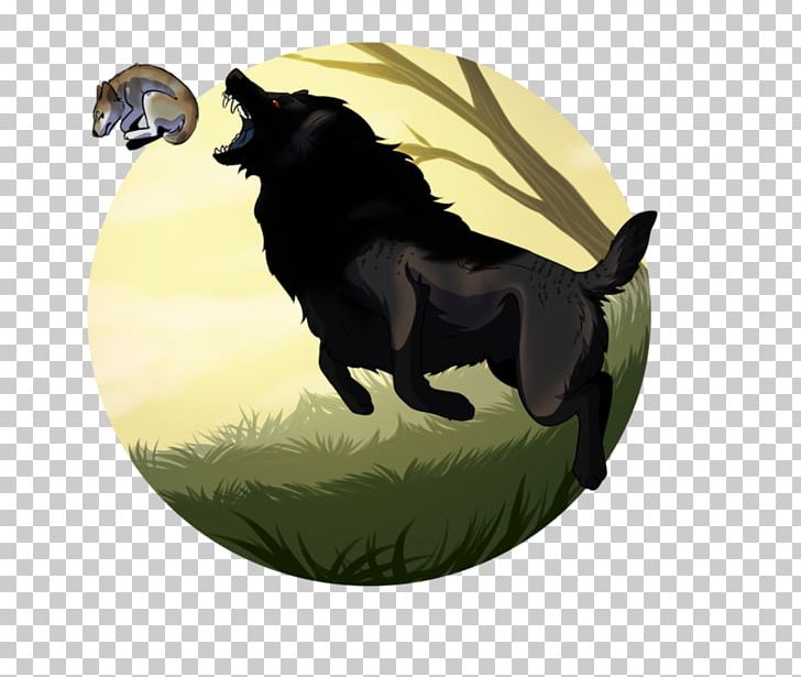 Dog Breed Schipperke Puppy PNG, Clipart, Animals, Breed, Carnivoran, Dog, Dog Breed Free PNG Download
