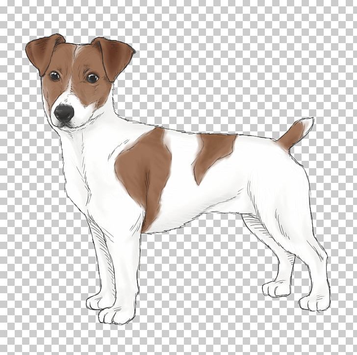 Jack Russell Terrier Parson Russell Terrier Plummer Terrier Smooth Fox Terrier PNG, Clipart, Brazilian Terrier, Carnivoran, Companion Dog, Dog Breed, Dog Breed Group Free PNG Download