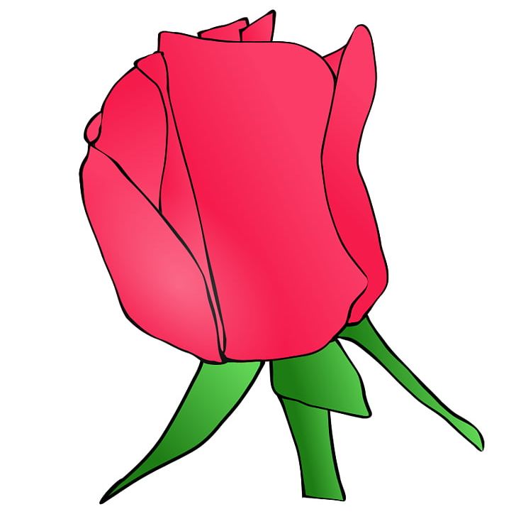 Rose Bud PNG, Clipart, Artwork, Bud, Cut Flowers, Drawing, Fictional Character Free PNG Download
