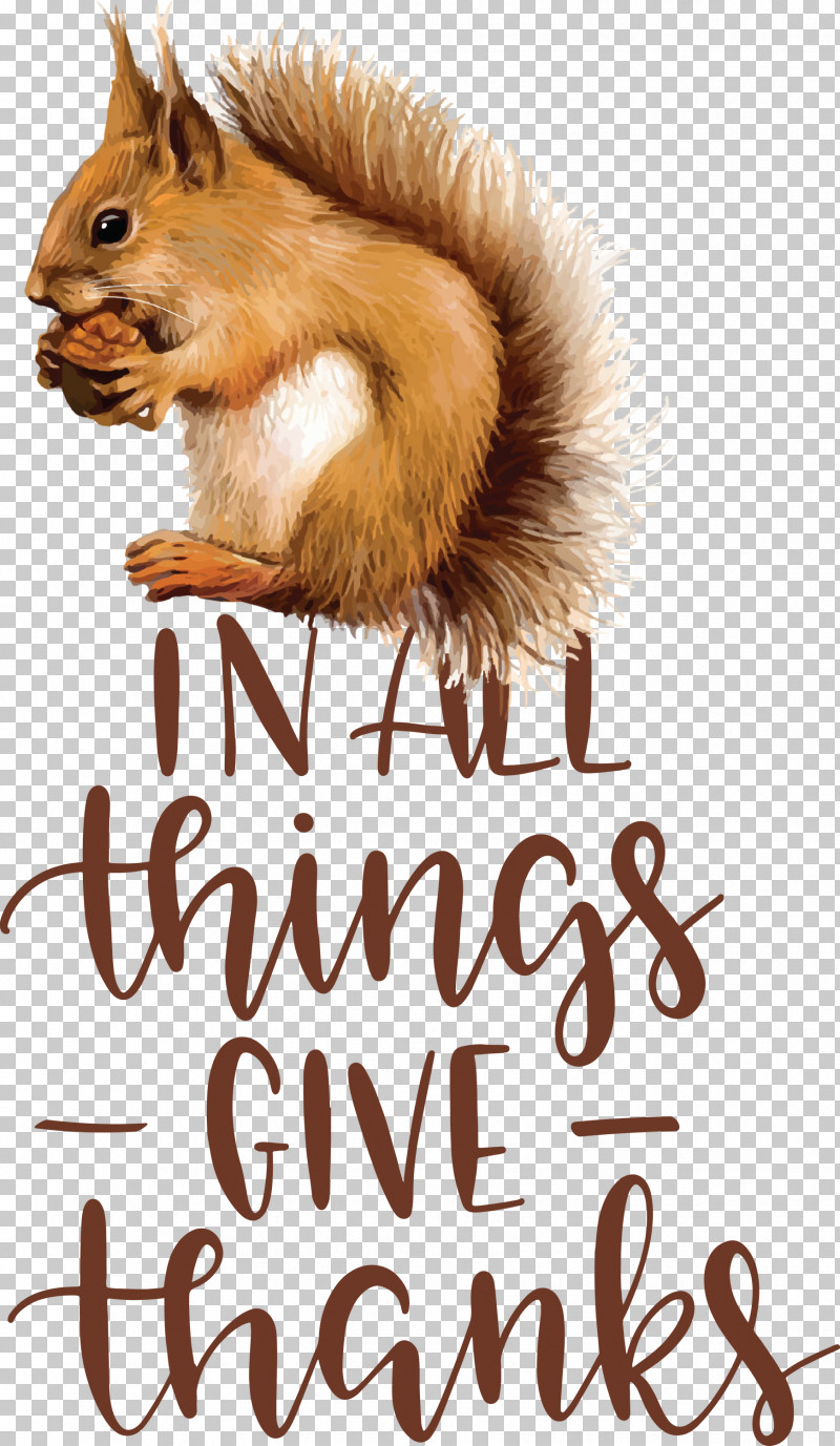 Give Thanks Thanksgiving PNG, Clipart, Chipmunks, Fur, Furm, Give Thanks, Meter Free PNG Download