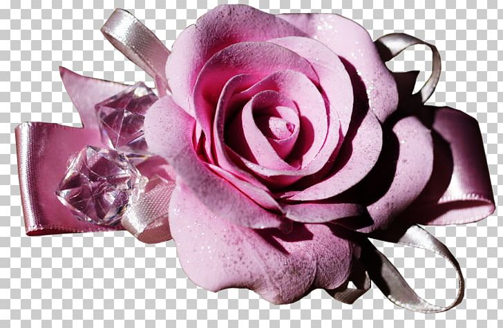 Garden Roses Centifolia Roses Pink Cut Flowers PNG, Clipart, Centifolia Roses, Color, Floral Design, Flower, Flowering Plant Free PNG Download
