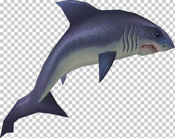 hungry shark evolution great white