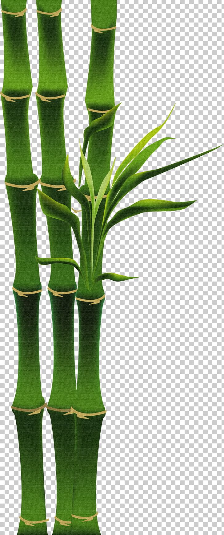 Bamboo Drawing Bamboe PNG, Clipart, Bamboo Leaves, Cartoon, Cartoon Character, Cartoon Eyes, China Free PNG Download