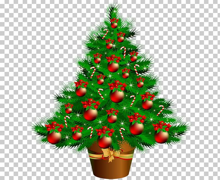 Christmas Tree PNG, Clipart, Christmas Tree Free PNG Download