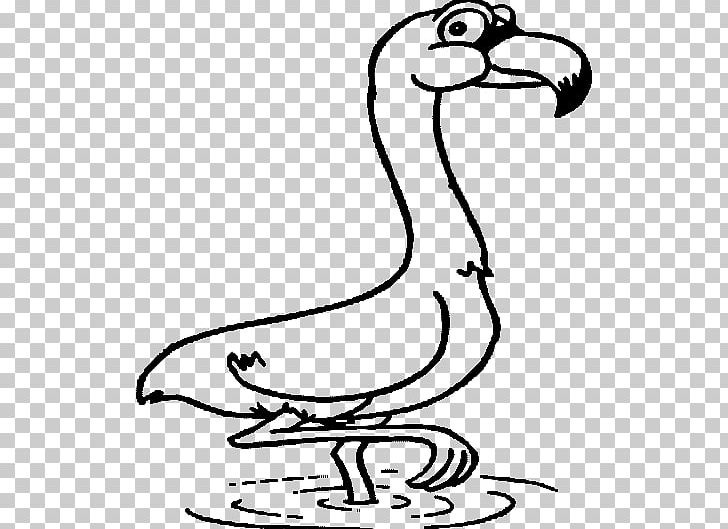 Coloring Book Flamingo Bird Adult Line Art PNG, Clipart, Adult, Animals, Beak, Bird, Black And White Free PNG Download