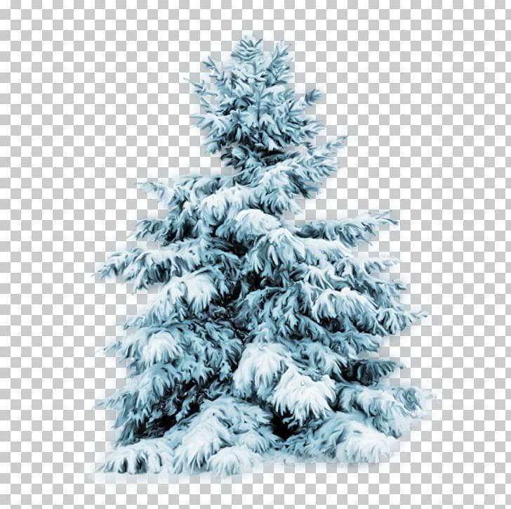 Tree Snow Desktop Pine PNG, Clipart, Christmas, Christmas Decoration, Christmas Lights, Christmas Ornament, Christmas Tree Free PNG Download