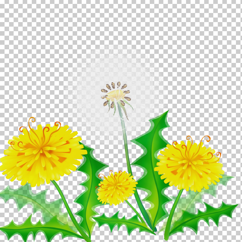 Flower Yellow Dandelion Plant Dandelion PNG, Clipart, Chamomile, Daisy Family, Dandelion, English Marigold, Flower Free PNG Download