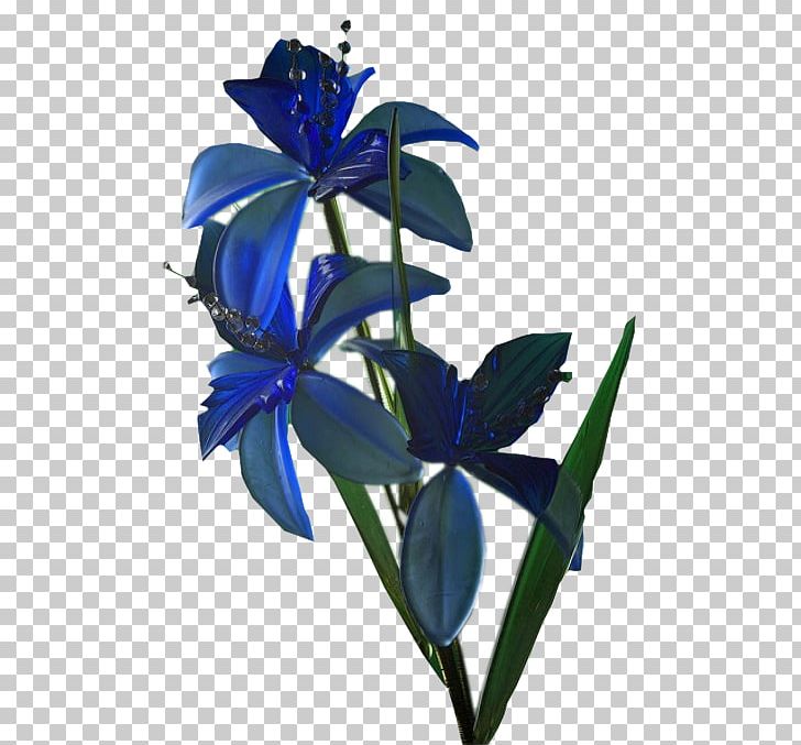 Cut Flowers Chișinău Portable Network Graphics Hypertext Transfer Protocol PNG, Clipart, 2018, Antwoord, Blogger, Blue, Chisinau Free PNG Download