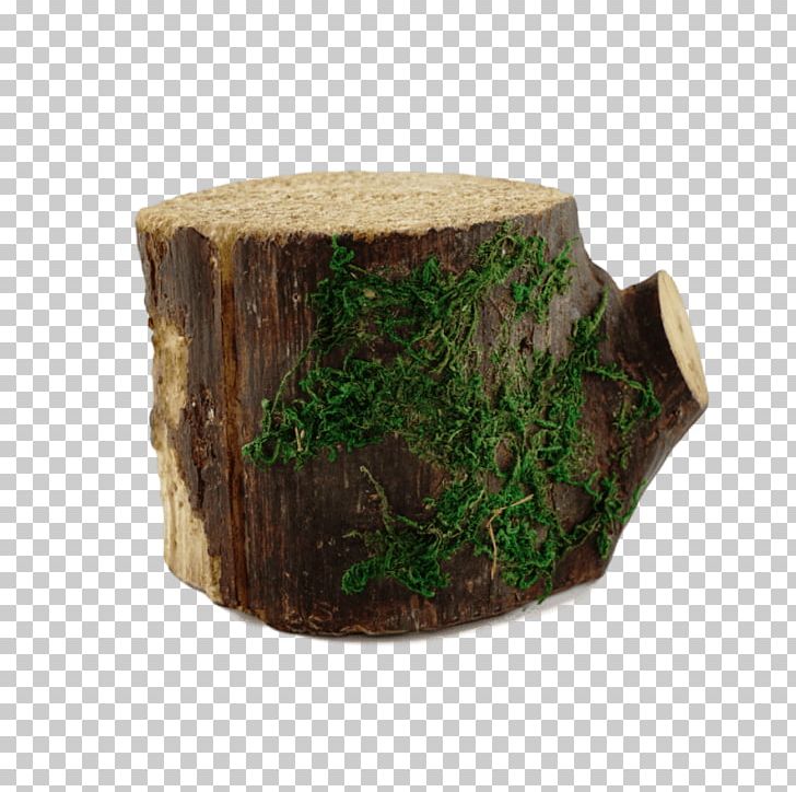 Tree Stump PNG, Clipart, Nature, Tree, Tree Stump Free PNG Download