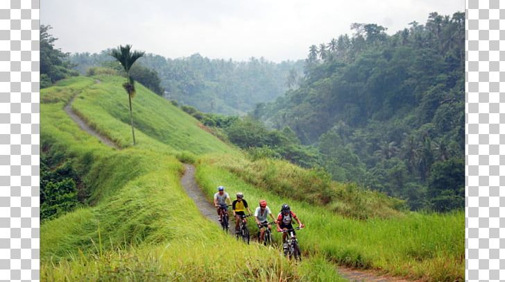 Ubud Sanur PNG, Clipart, Cycling, Forest, Grass, Jungle, Landscape Free PNG Download
