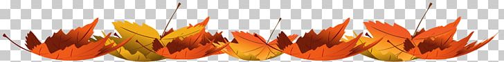 Autumn Leaf Color PNG, Clipart, Autumn, Autumn Leaf Color, Closeup, Commodity, Computer Icons Free PNG Download