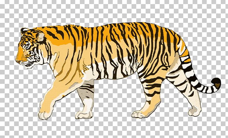 Felidae Bengal Tiger Sumatran Tiger Bengal Cat Lion PNG, Clipart, Animal, Animal Figure, Animals, Bengal Cat, Bengal Tiger Free PNG Download