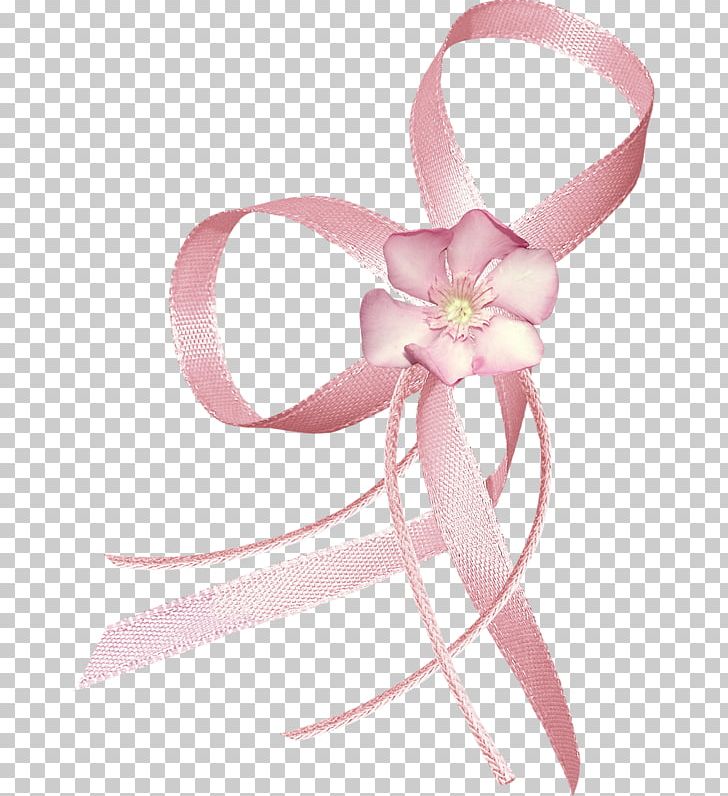 Pink Flower Petal Ribbon Garden Roses PNG, Clipart, Bow, Color, Designer, Download, Element Free PNG Download