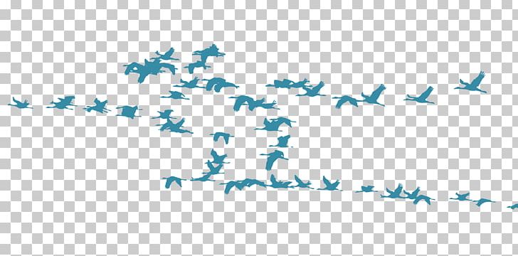 Bird Migration Crane Flock Animal Migration PNG, Clipart, Animal, Animal Migration, Animals, Area, Beak Free PNG Download