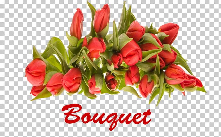 Floral Design Flower Bouquet Cut Flowers Garden Roses PNG, Clipart, Birds Eye Chili, Bouquet Of Roses, Bud, Chili Pepper, Cut Flowers Free PNG Download