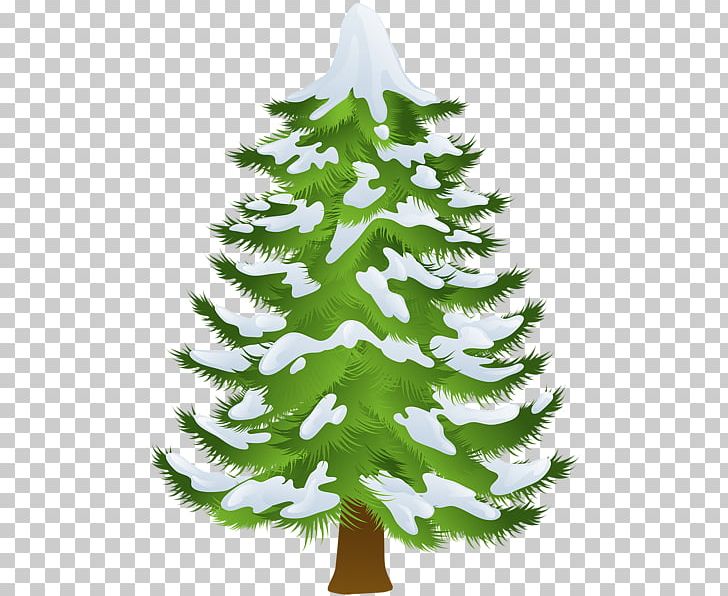 Pine Tree Winter Fir PNG, Clipart, Branch, Christmas Decoration, Christmas Ornament, Christmas Tree, Conifer Free PNG Download
