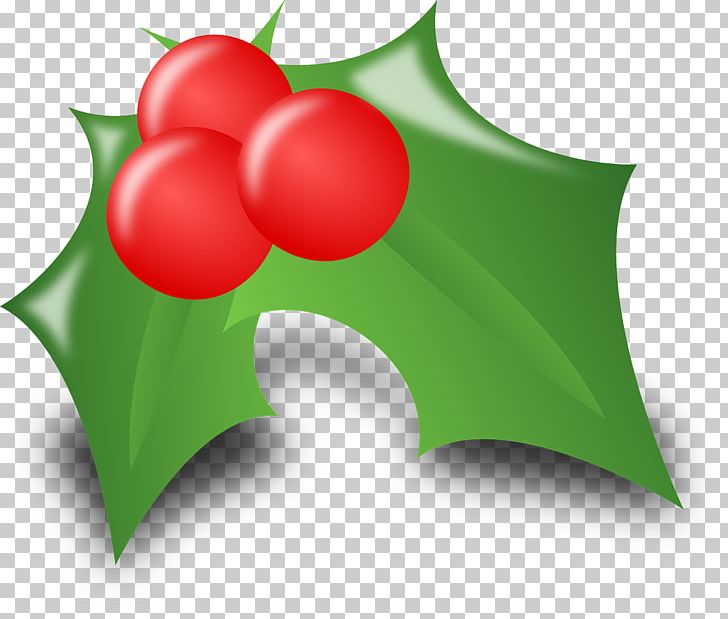 Santa Claus Christmas Computer Icons PNG, Clipart, Aquifoliaceae, Christmas, Christmas Decoration, Christmas Lights, Christmas Ornament Free PNG Download
