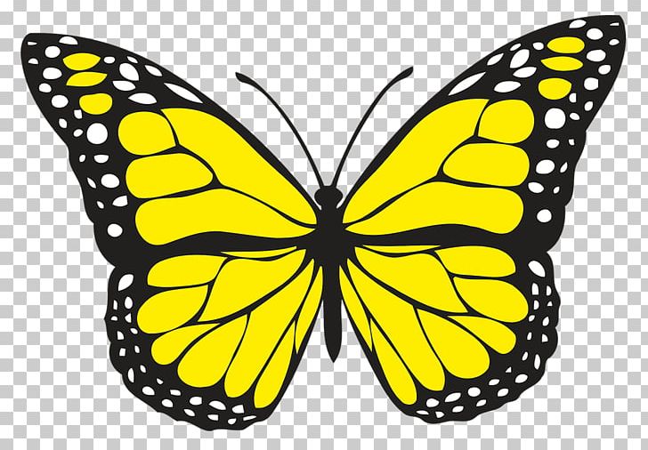Butterfly Insect PNG, Clipart, Arthropod, Black And White, Brush Footed Butterfly, Butterfly, Color Free PNG Download