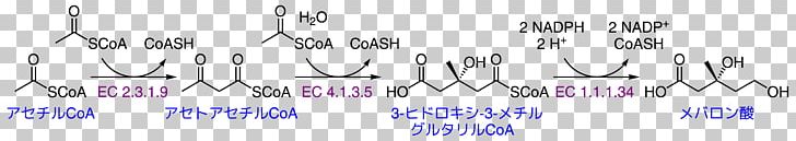 Mevalonic Acid Mevalonate Pathway Acetyl-CoA Coenzyme A Acetyl Group PNG, Clipart, Acetoacetylcoa, Acetylcoa, Acetyl Group, Area, Betahydroxybutyric Acid Free PNG Download