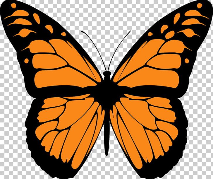 Monarch Butterfly Drawing Animal Migration PNG, Clipart, Animal, Animal Migration, Arthropod, Brush Footed Butterfly, Butterfly Free PNG Download