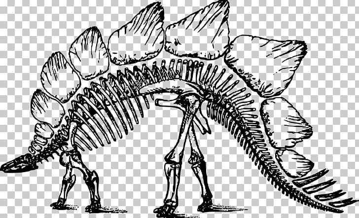 Stegosaurus Bone Wars Dinosaur Triceratops Human Skeleton PNG, Clipart, Black And White, Bone, Digital Image, Drawing, Edmontosaurus Free PNG Download