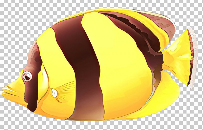 Yellow Helmet Butterflyfish Personal Protective Equipment Fish PNG, Clipart, Butterflyfish, Cap, Fish, Helmet, Personal Protective Equipment Free PNG Download