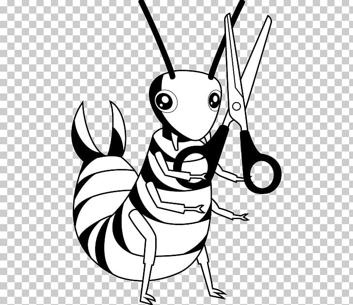 Illustration Insect Drawing /m/02csf PNG, Clipart,  Free PNG Download