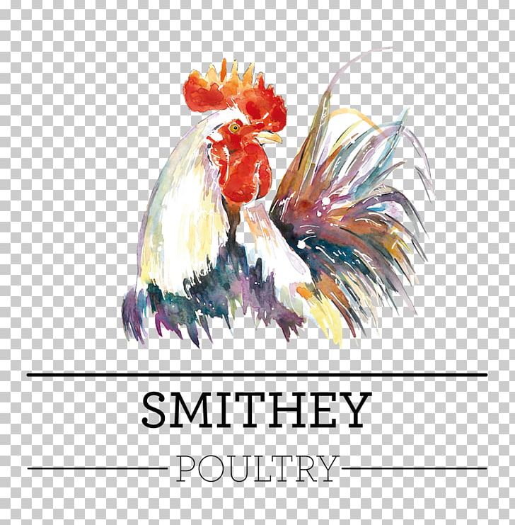 Rooster Watercolor Landscape Chicken Watercolor Painting PNG, Clipart, Advertising, Animals, Beak, Bird, Birdandflower Painting Free PNG Download