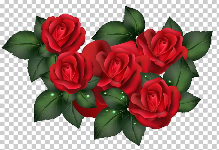 Rose PNG, Clipart, Cut Flowers, Desktop Wallpaper, Floral Design, Floribunda, Floristry Free PNG Download