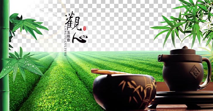 Green Tea Tieguanyin The Classic Of Tea Advertising PNG, Clipart, Background Green, Bamboo, Black Tea, Chinese Tea, Classic Of Tea Free PNG Download