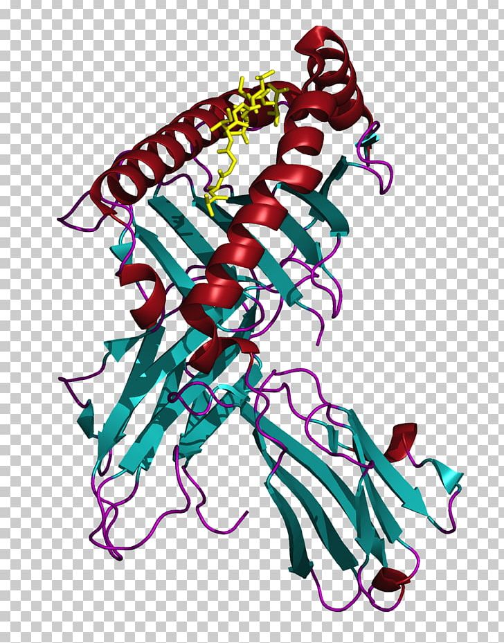 MLANA Human Leukocyte Antigen Major Histocompatibility Complex MHC Class I PNG, Clipart, Antigen, Art, Artwork, Gene, Graphic Design Free PNG Download