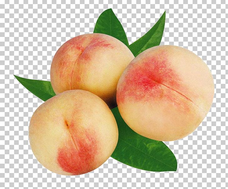 Peach Fruit Food Auglis Nutrition PNG, Clipart, Apple, Auglis, Diet Food, Drink, Eating Free PNG Download