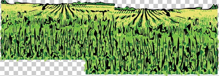 University Of Nebraska State Museum Nebraska 150 Celebration Lincoln County PNG, Clipart, Agriculture, Barley, Commodity, Crop, Field Free PNG Download