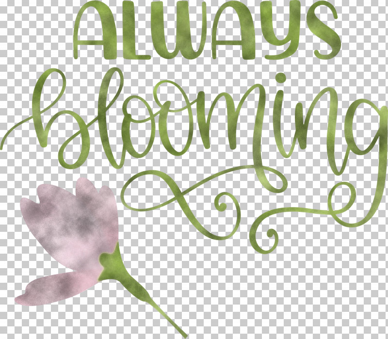 Always Blooming Spring Blooming PNG, Clipart, Blooming, Cut Flowers, Floral Design, Flower, Leaf Free PNG Download