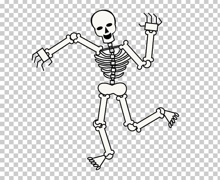 Human Skeleton Drawing Cartoon Skull PNG, Clipart, Anatomy, Angle, Area, Arm, Art Free PNG Download