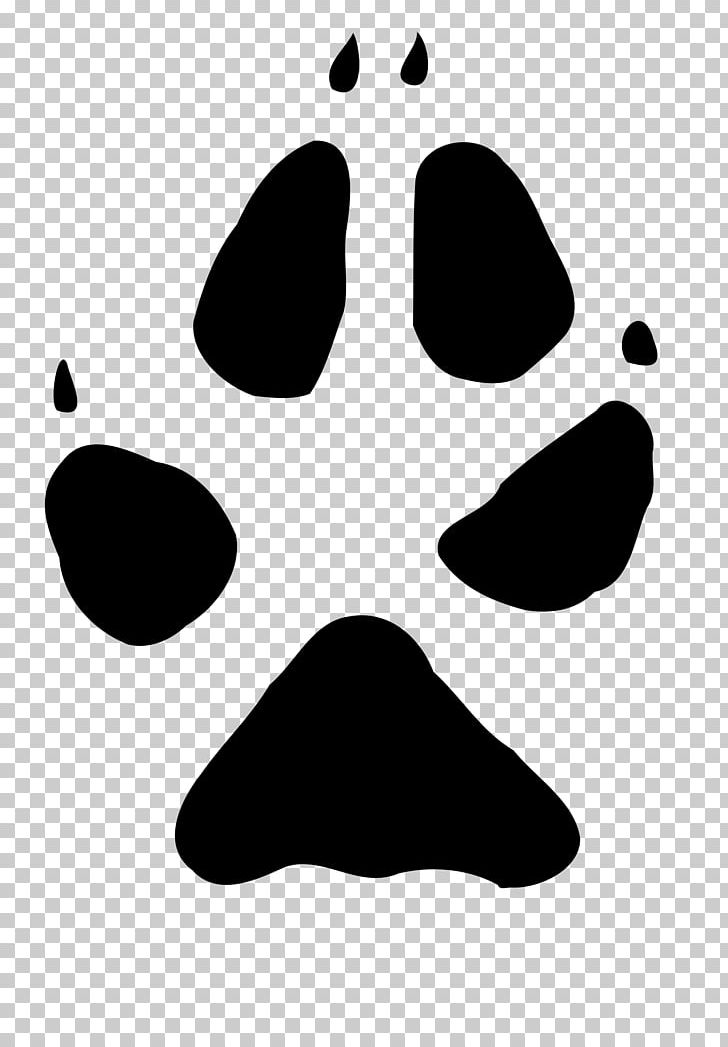 Red Fox Paw Arctic Fox PNG, Clipart, Animal, Animals, Animal Track, Arctic Fox, Black Free PNG Download