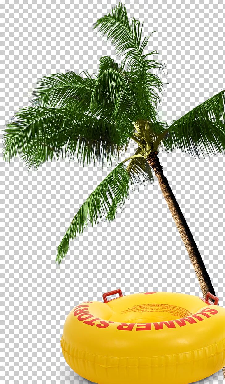 Arecaceae Coconut Tree PNG, Clipart, Arecales, Auglis, Autumn Tree, Beach, Beach Decoration Free PNG Download
