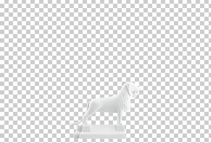 Cat Brunswick Lion Dog White Shoe PNG, Clipart, 15 Cm, Animals, Black And White, Brunswick Lion, Canidae Free PNG Download
