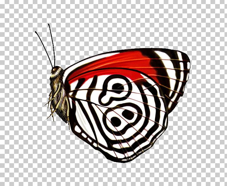 Monarch Butterfly Insect Brush-footed Butterflies PNG, Clipart, Arthropod, Brush Footed Butterfly, Butterflies And Moths, Butterfly, Color Free PNG Download
