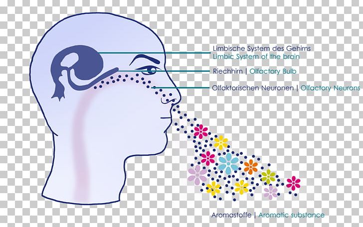 Nose Food Spoilage Odor Water Olfaction PNG, Clipart, Angle, Area, Diagram, Dr Med Anne Rollin, Ear Free PNG Download