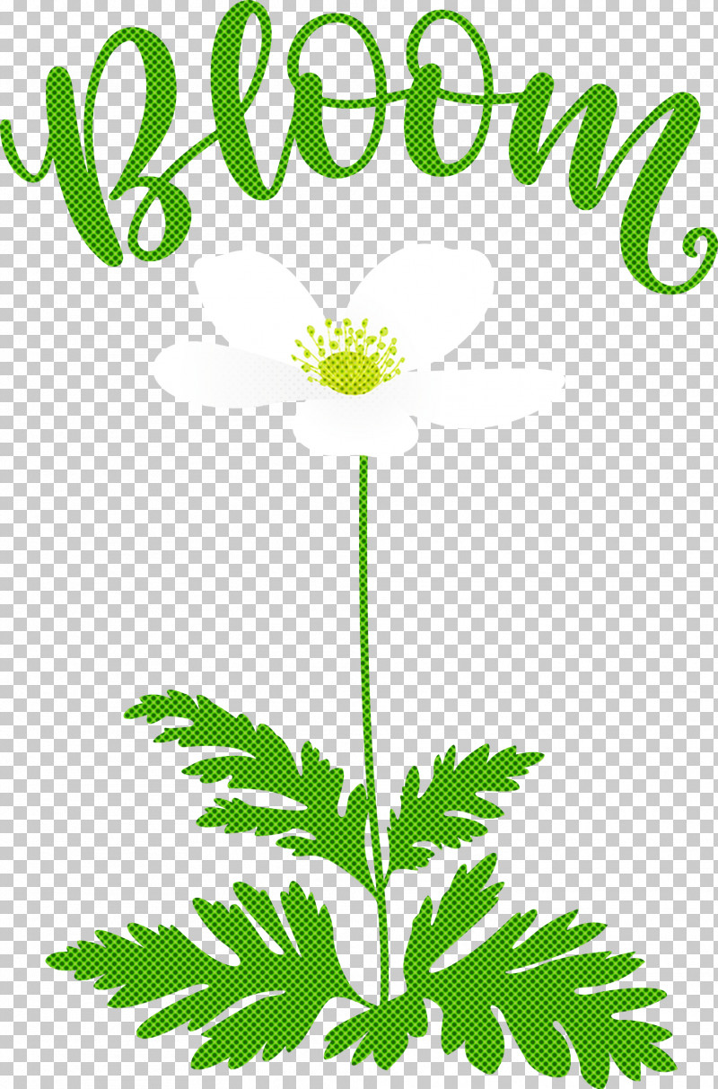Bloom Spring Flower PNG, Clipart, Bloom, Flower, Leaf, Leaf Vegetable, Plants Free PNG Download
